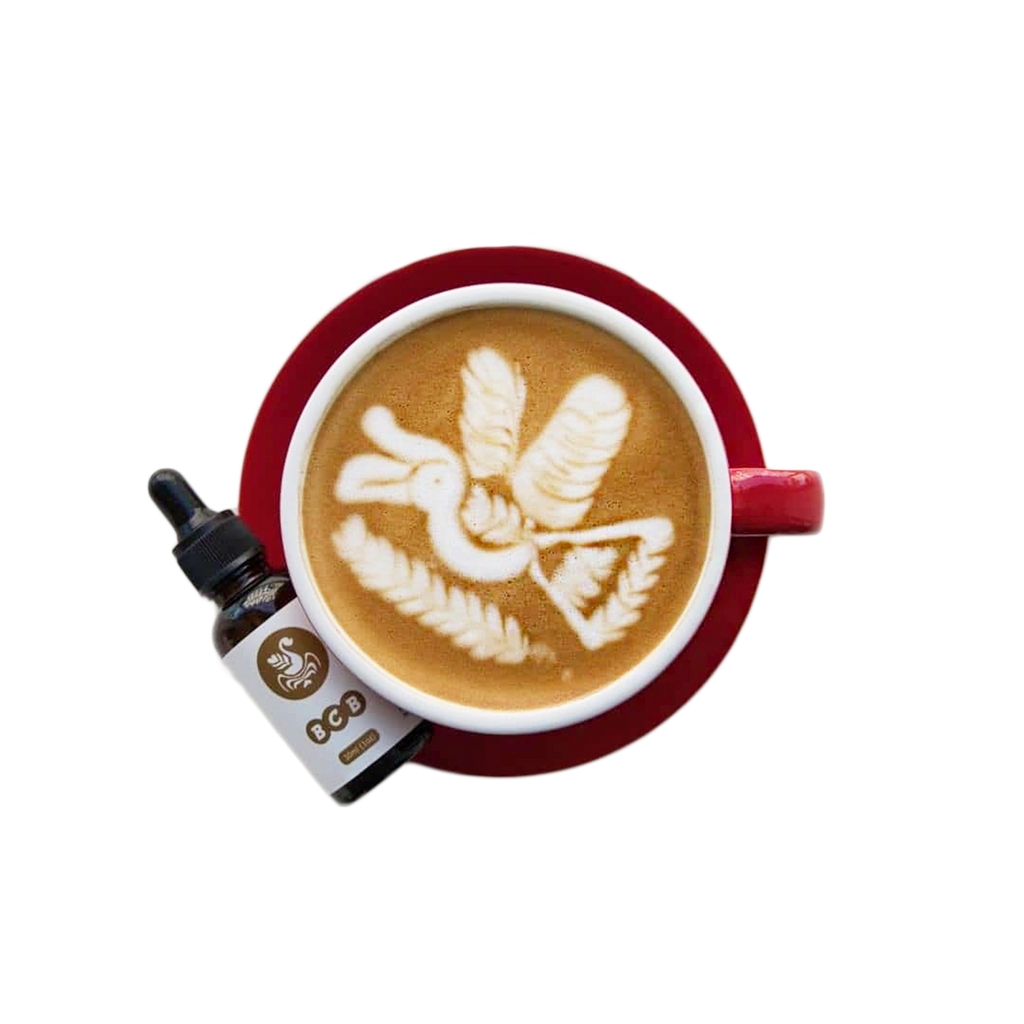 Melkkan Barista & Co Core Brushed Steel, 600 ml Melkkan Barista & Co Core Brushed Steel, 600 ml